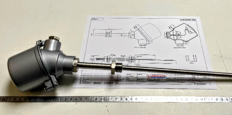 Case Study: Custom Duplex RTD Pt100 Temperature Sensor Solution.